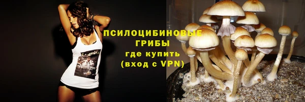 не бодяженный Медногорск