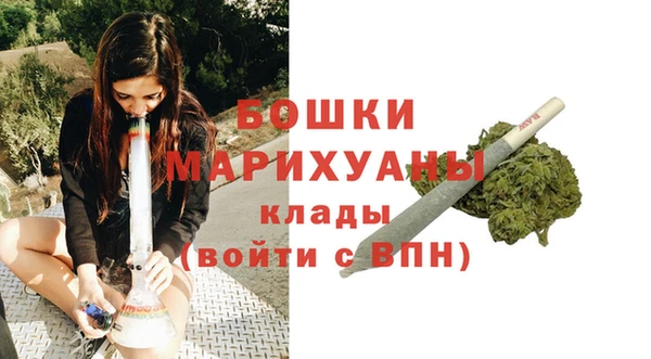 сатива Мегион