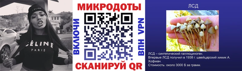 Псилоцибиновые грибы GOLDEN TEACHER  кракен   Воронеж 