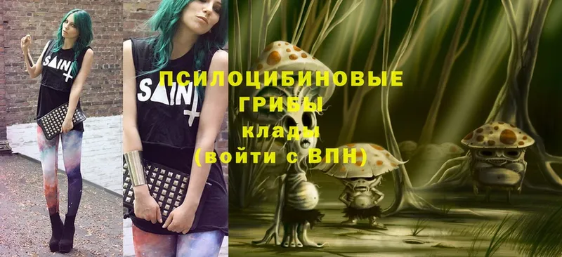 Галлюциногенные грибы MAGIC MUSHROOMS  купить наркотики цена  Воронеж 