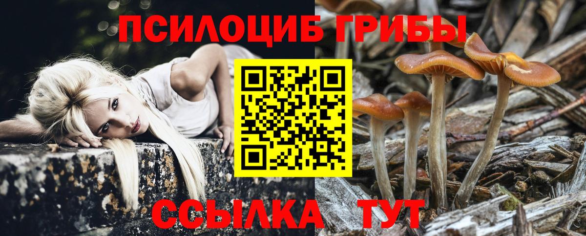 Псилоцибиновые грибы прущие грибы  Воронеж 