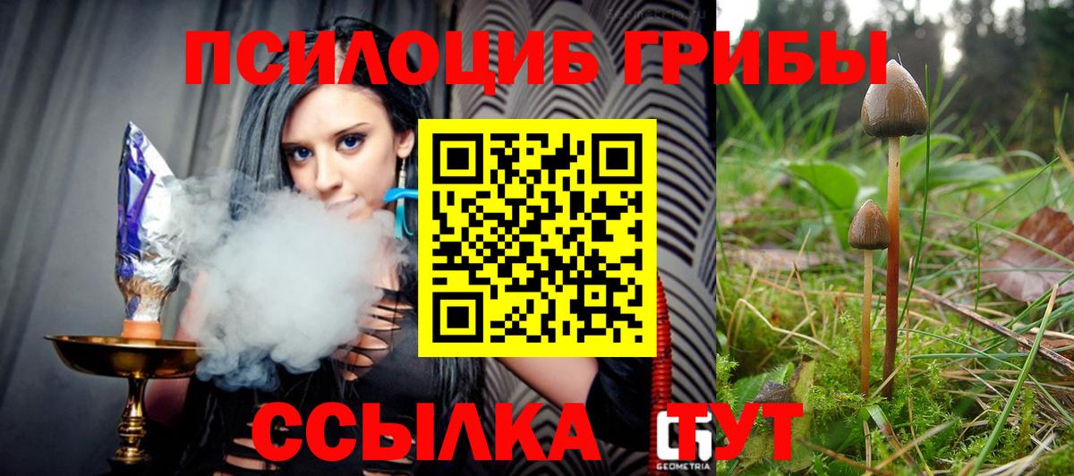 Галлюциногенные грибы Magic Shrooms  Псилоцибиновые грибы мицелий  Воронеж  как найти   Вход с VPN 